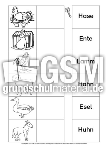 AB-Tiere-Zuordnung 3.pdf